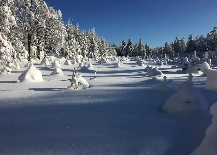 Mobilheim Hajovna Svahova Boleboř